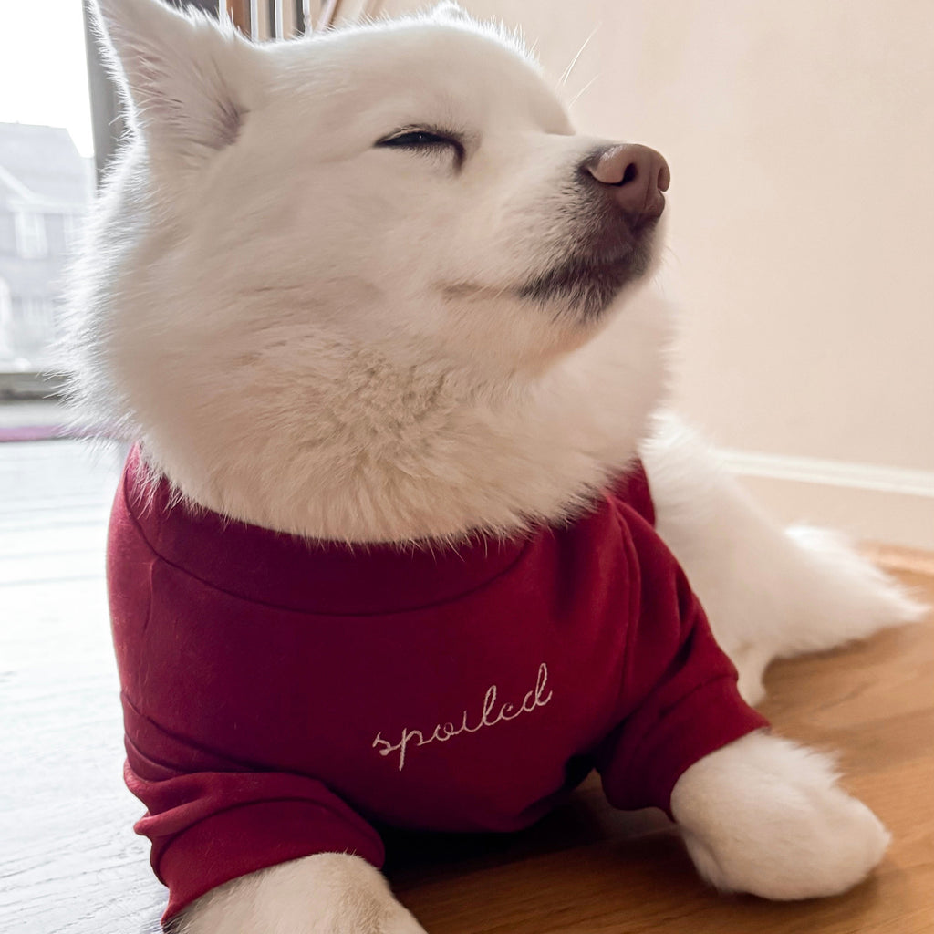 Fur Elise Spoiled Mock Neck Shirt — Lucky in Love