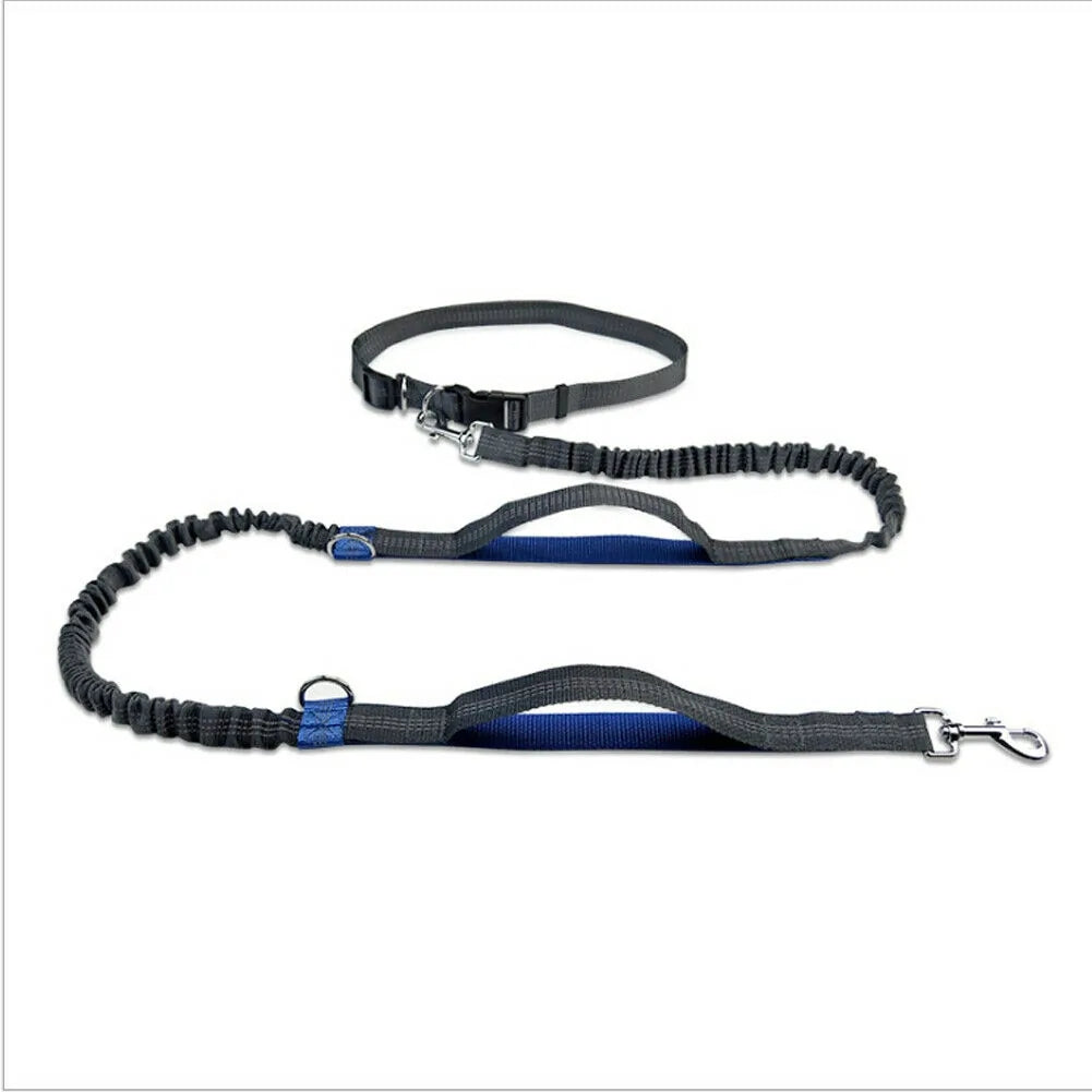 Reflective Rope Dog Leash – Hands-Free, Multi-Ring | Blue, Orange & Green Royal Blue 160 x 2.5 CM
