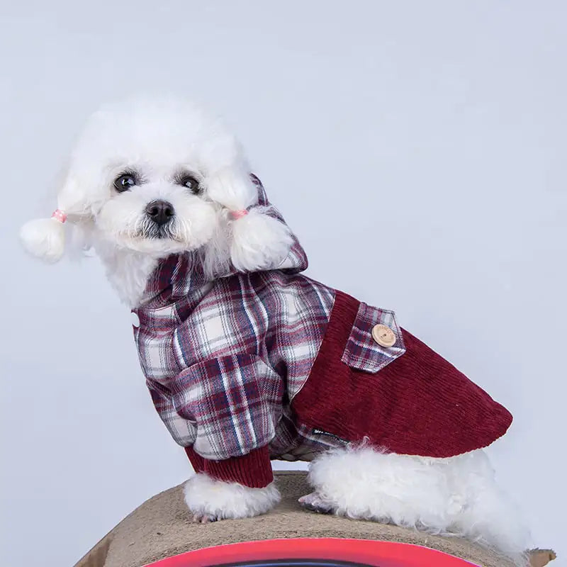 Teddy VIP Pomeranian Small Dog Cashmere Coat Hemp ash XL