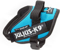 Power Harness for Dogs - Aquamarine Size 2