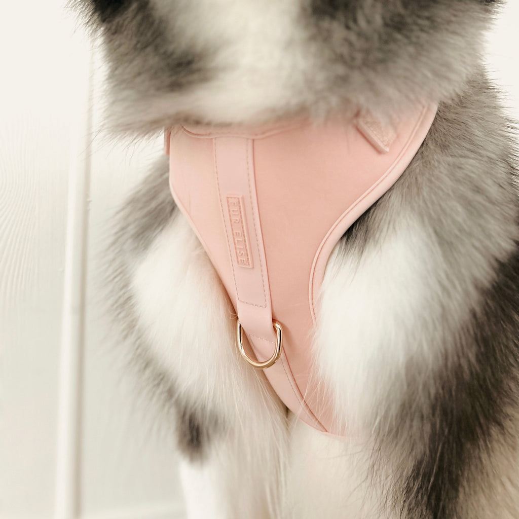 Fur Elise The Essentials Walk Set - Rose