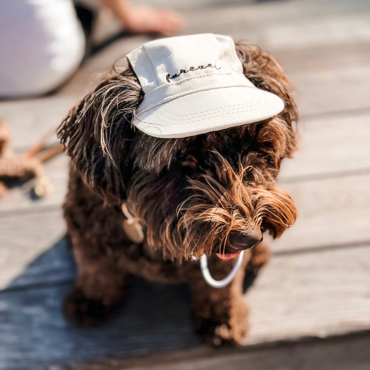 Fur Elise Furever Hat Bundle