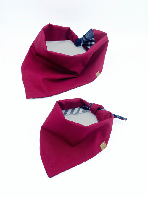 Bobby' Reversible Pet Bandana