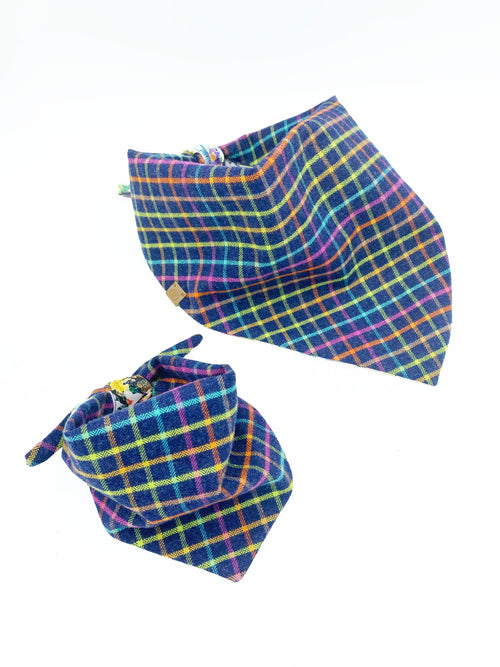 Brett' Reversible Pet Bandana