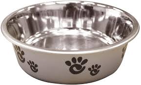 Barcelona Matte and Stainless Steel Pet Dish, Pearlized Silver LG