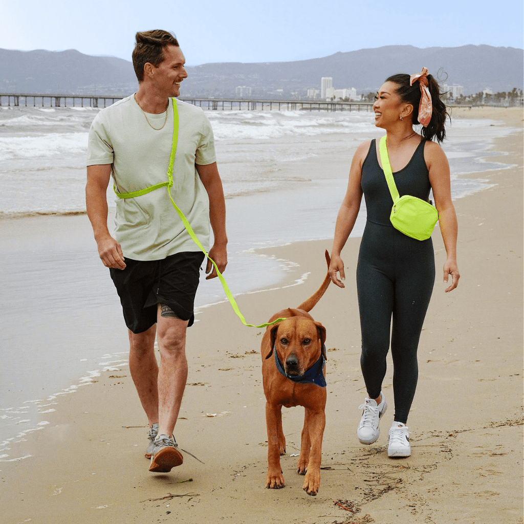 Tilley + Me PVC Dog Collar - All Weather Waterproof Durable & Odor-Resistant