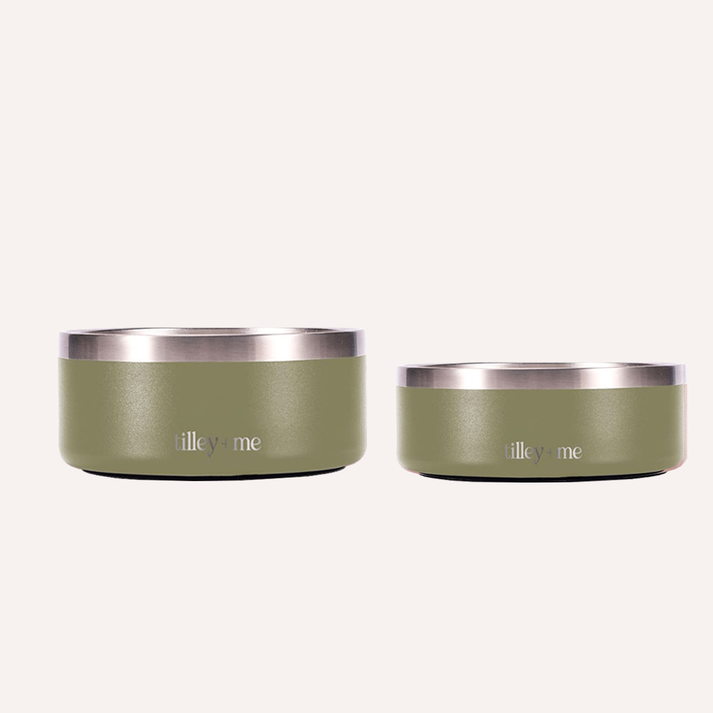 Tilley + Me Stainless Steel Pet Bowl – Non-Slip, Durable & Dishwasher Safe | 32oz and 64oz Sagebrush Green
