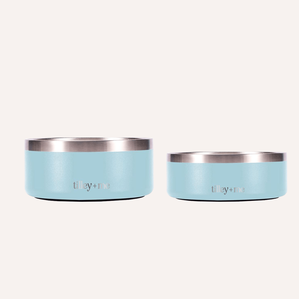 Tilley + Me Stainless Steel Pet Bowl – Non-Slip, Durable & Dishwasher Safe | 32oz and 64oz Sky Agave