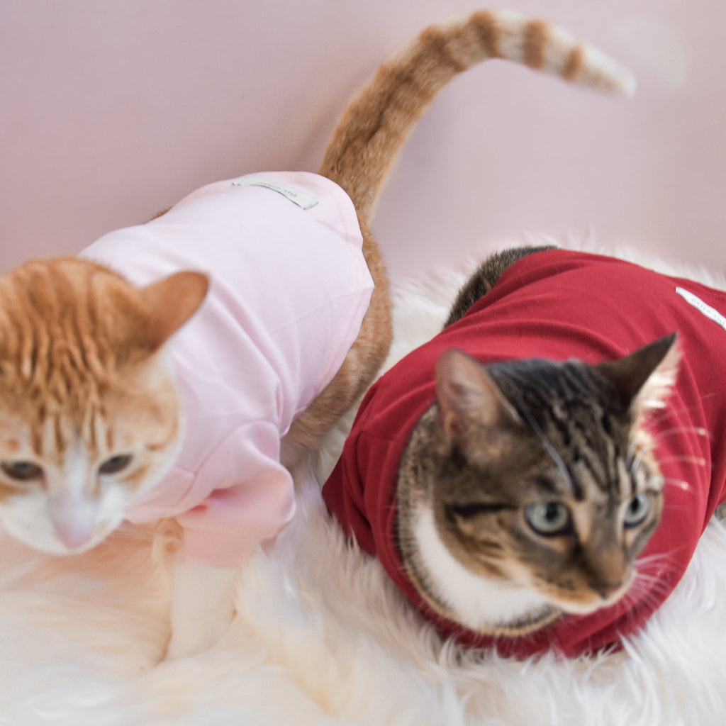 Fur Elise Spoiled Mock Neck Shirt — Lucky in Love