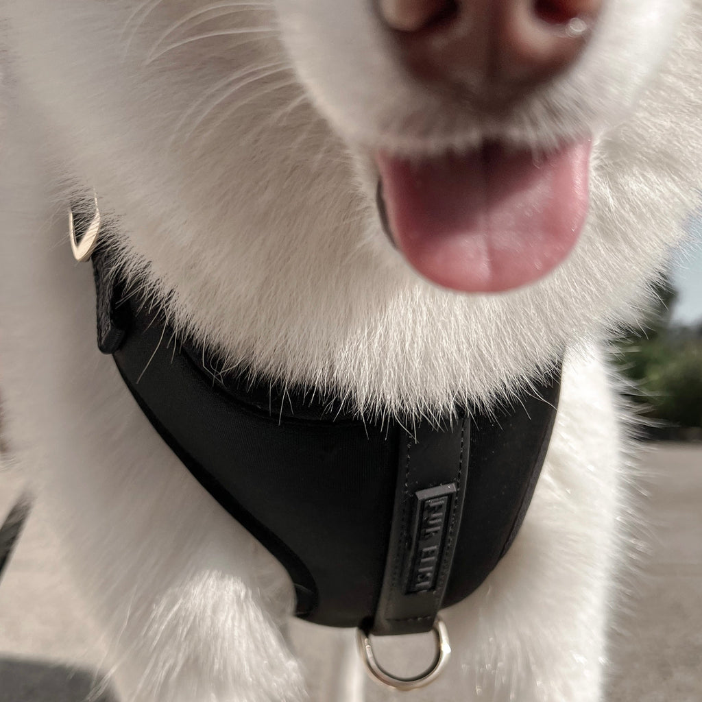 Fur Elise Harness - Noir