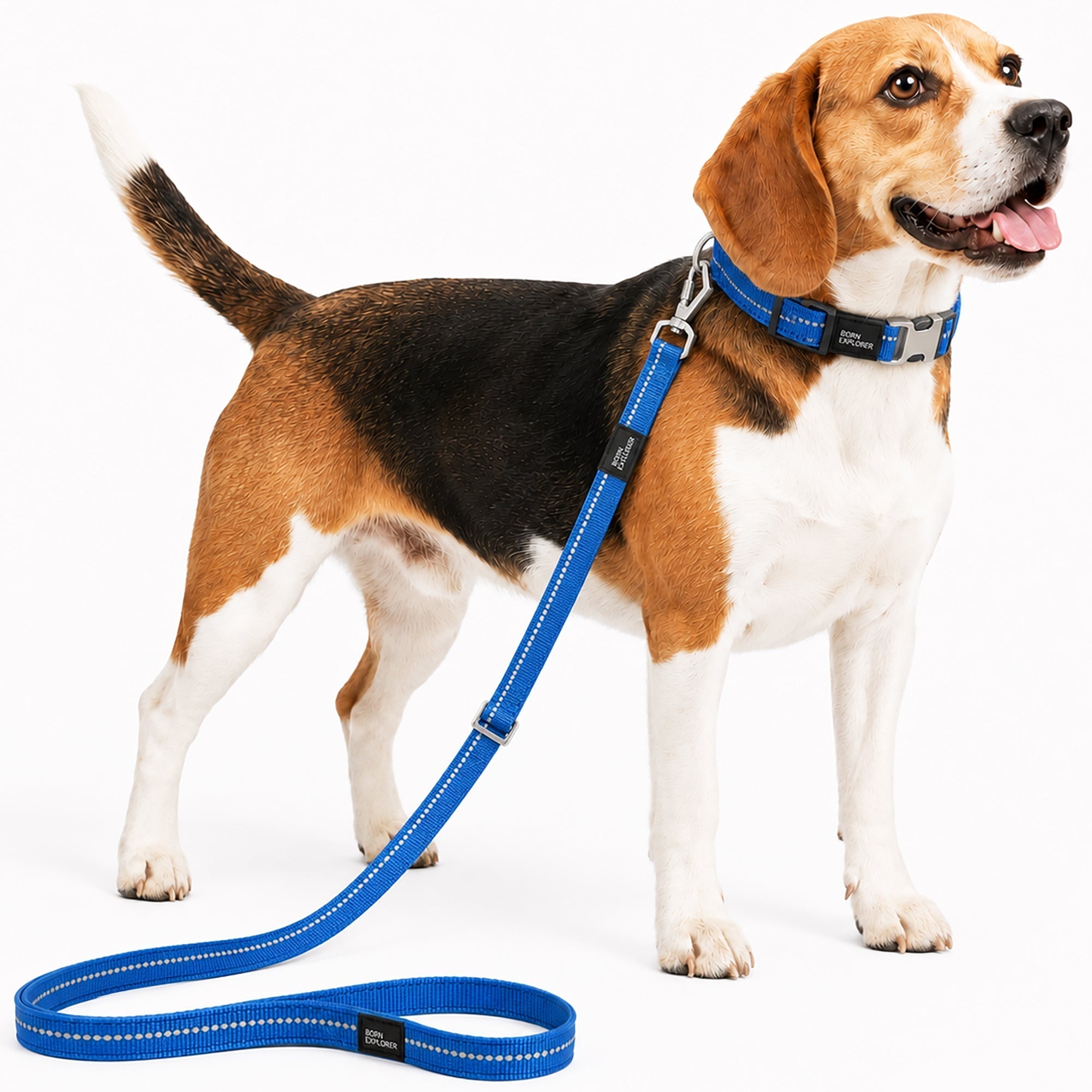 Pet Life ® 'Advent' Outdoor Series 3M Reflective 2-in-1 Durable Martingale Training Dog Leash and Collar Blue