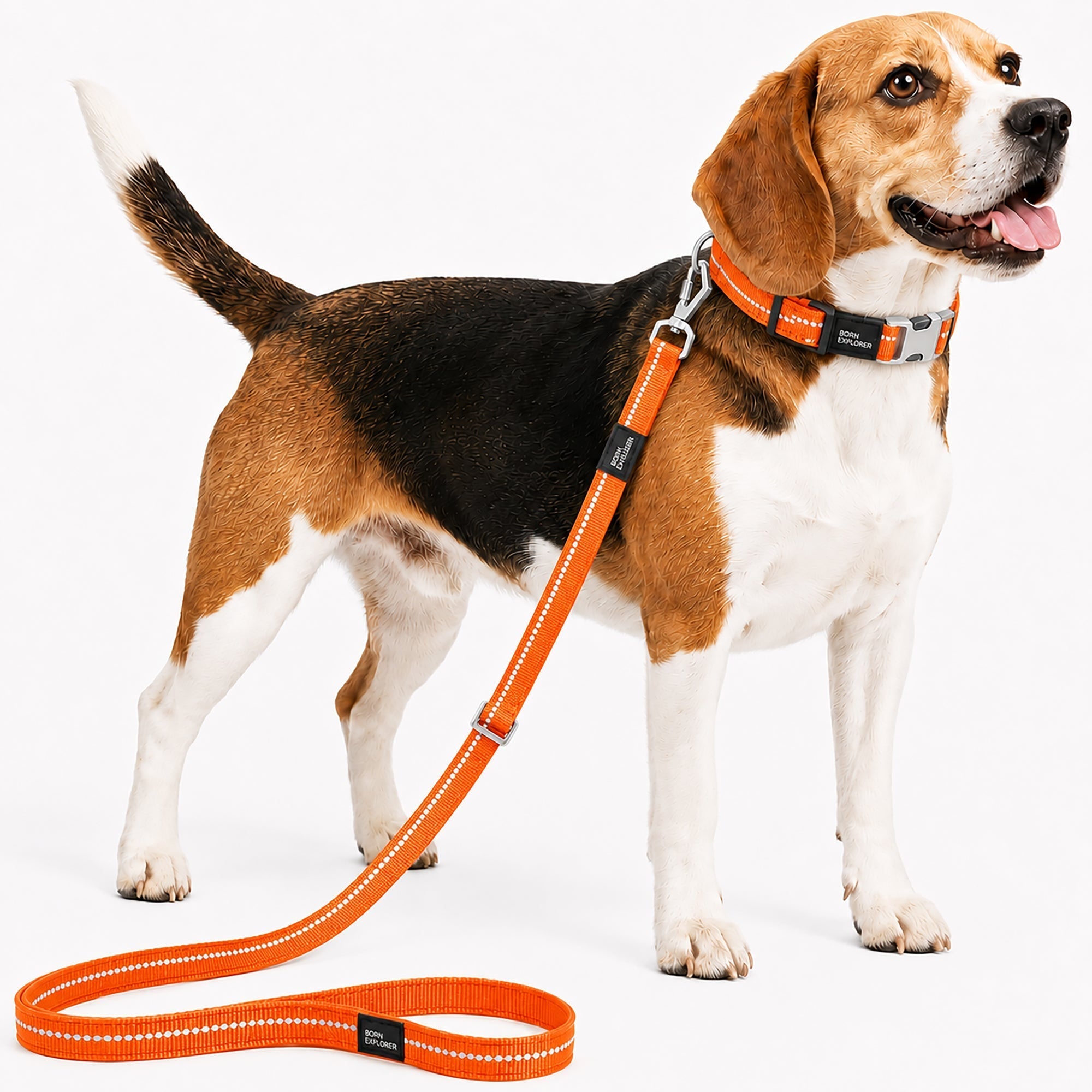 Pet Life ® 'Advent' Outdoor Series 3M Reflective 2-in-1 Durable Martingale Training Dog Leash and Collar Orange