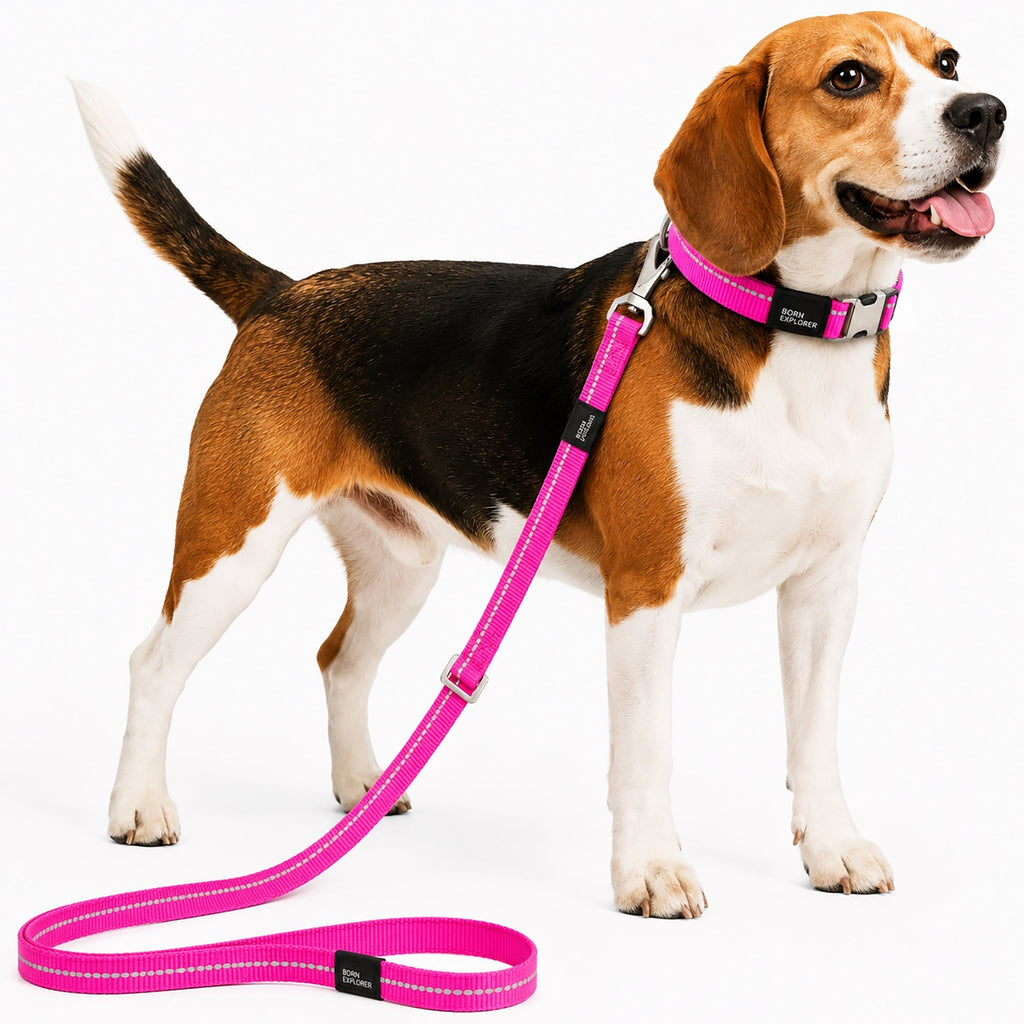 Pet Life ® 'Advent' Outdoor Series 3M Reflective 2-in-1 Durable Martingale Training Dog Leash and Collar Pink