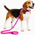 Pet Life ® 'Advent' Outdoor Series 3M Reflective 2-in-1 Durable Martingale Training Dog Leash and Collar Pink