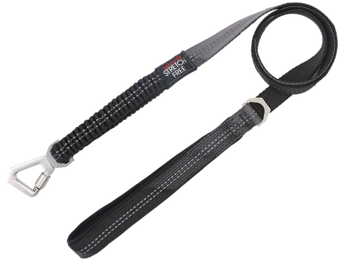 Pet Life ® 'Geo-prene' 2-in-1 Shock Absorbing Neoprene Padded Reflective Dog Leash and Collar