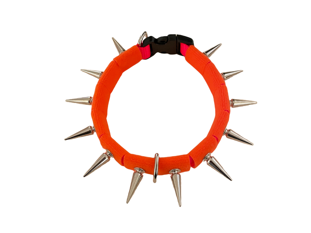 CoyoteCollar Medium Orange