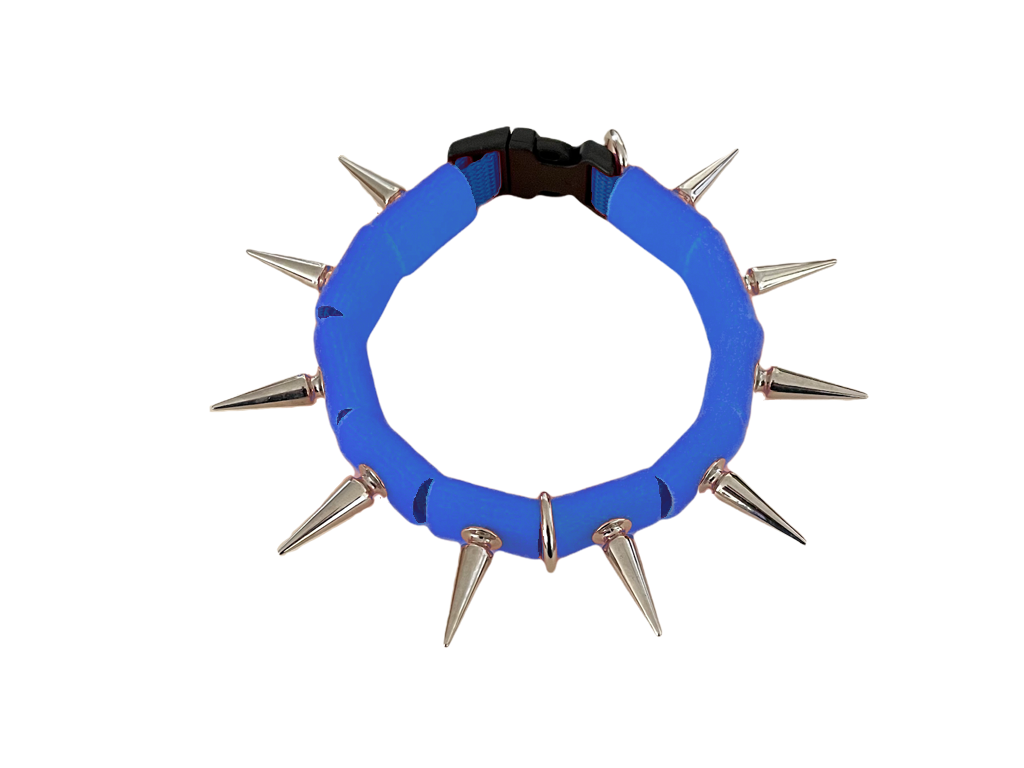 CoyoteCollar Small Blue