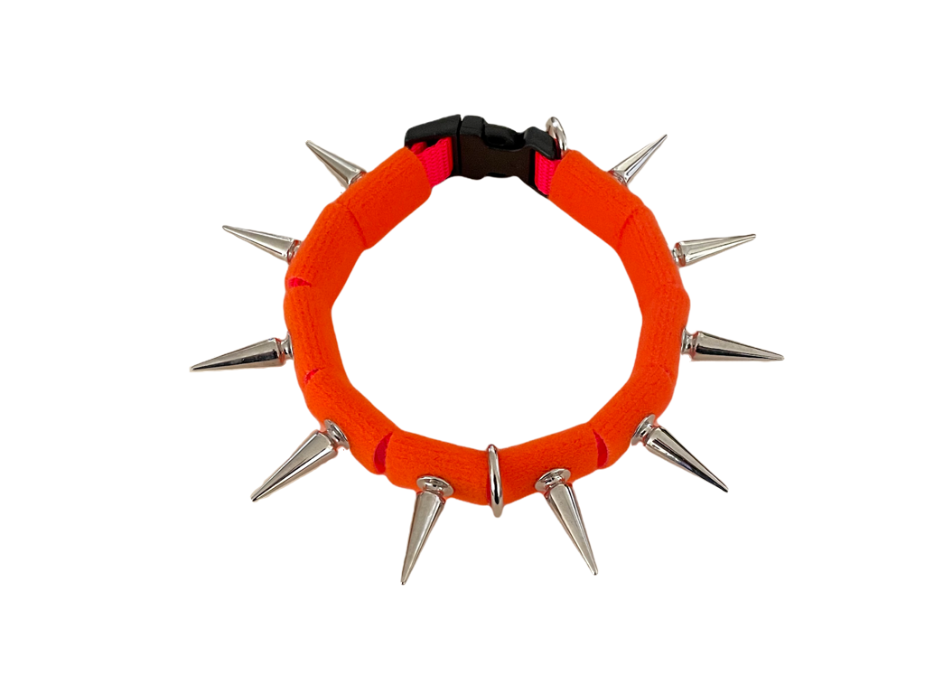 CoyoteCollar Small Orange