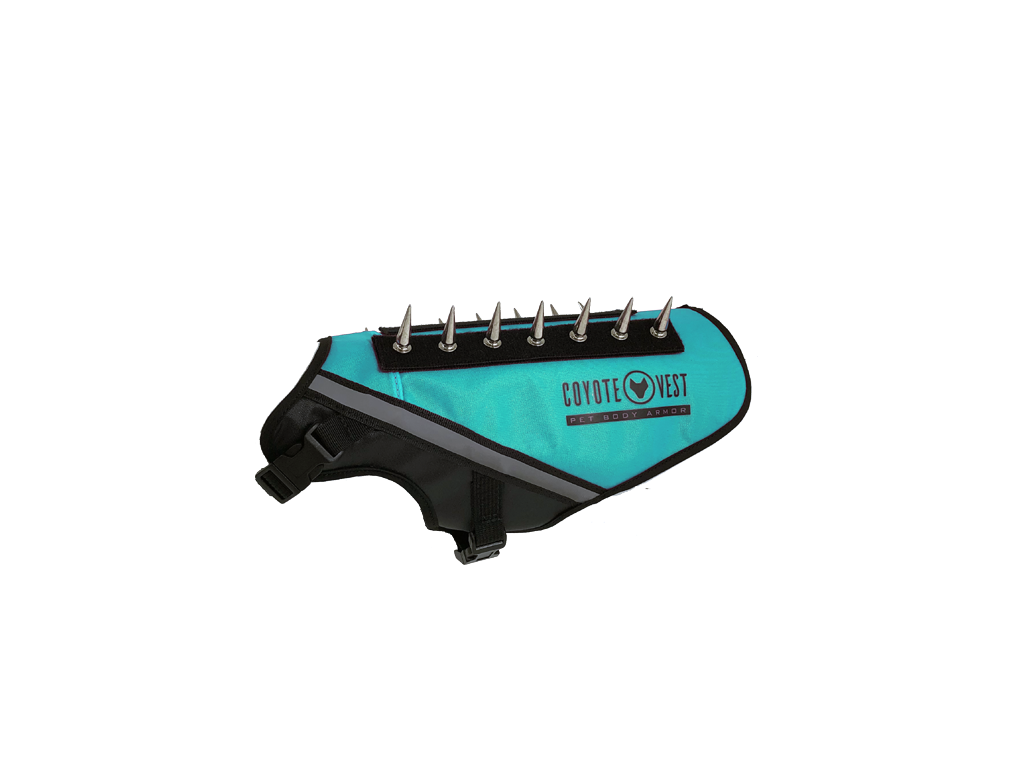 BullyVest Mini Turquoise