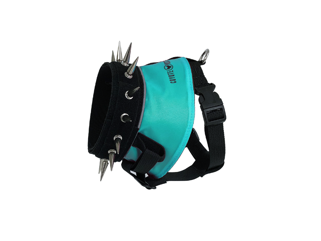 BullyHarness Small Turquoise