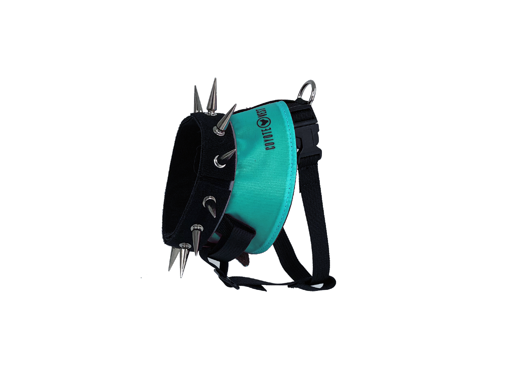 BullyHarness Extra Small Turquoise