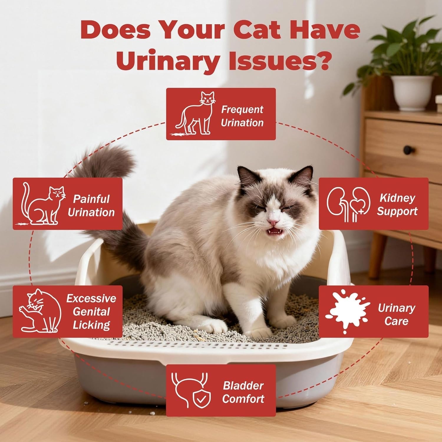 Cat UTI Kidney Support Supplement Cranberry Urinary Health Low Phosphorus 30Pk
