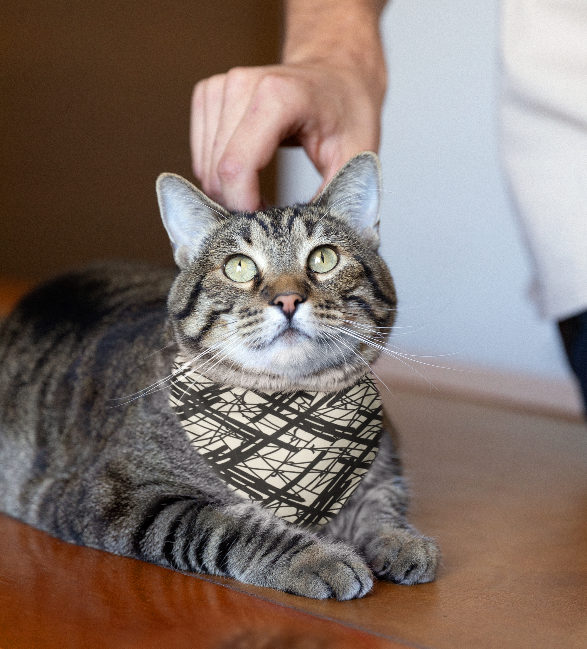 Sebastian & Clementine Abstract Lines Bandana Collar for Dogs and Cats