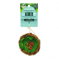 Enriched Life - Celebration Salad by Oxbow