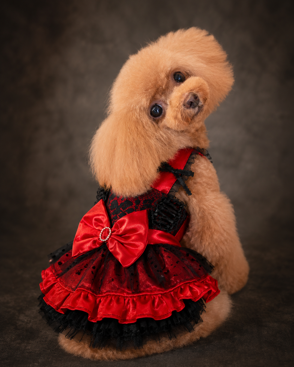 Red Black Gothic Lace Pet Dress