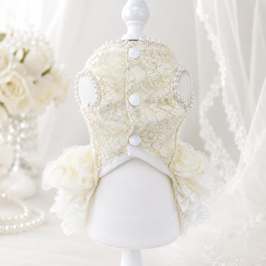 Pearl Rose Lace Pet Dress