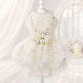 Pearl Rose Lace Pet Dress