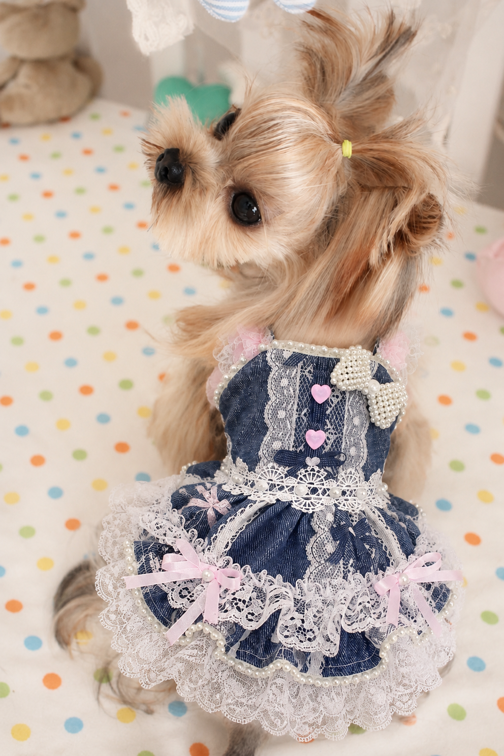 Denim Lace Pet Dress