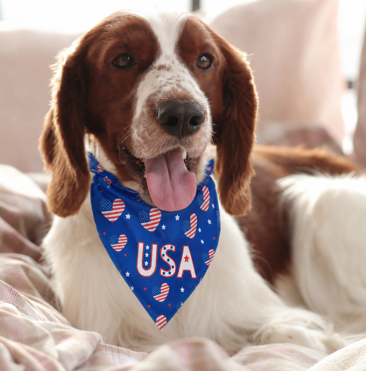 USA Patriotic Heart Print Dog Bandana Collar Scarf – Independence Day Pet Neckerchief for Small Medium Large Dogs