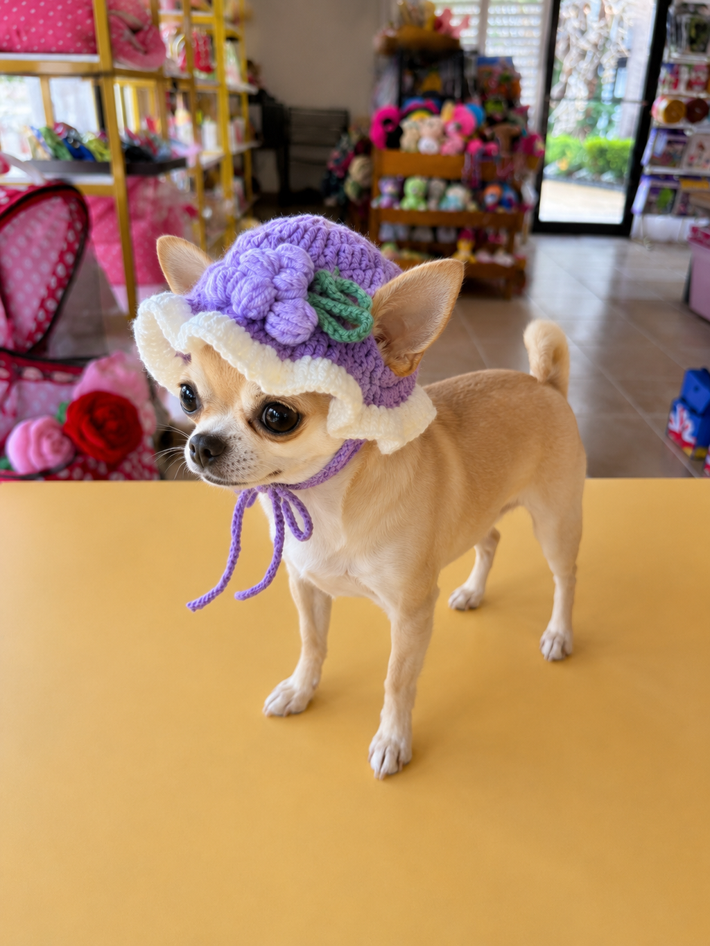 Handmade Crochet Flower Garden Grape Dog Hat – Cute Knit Pet Bonnet for Small Dogs & Cats Photo Outfit