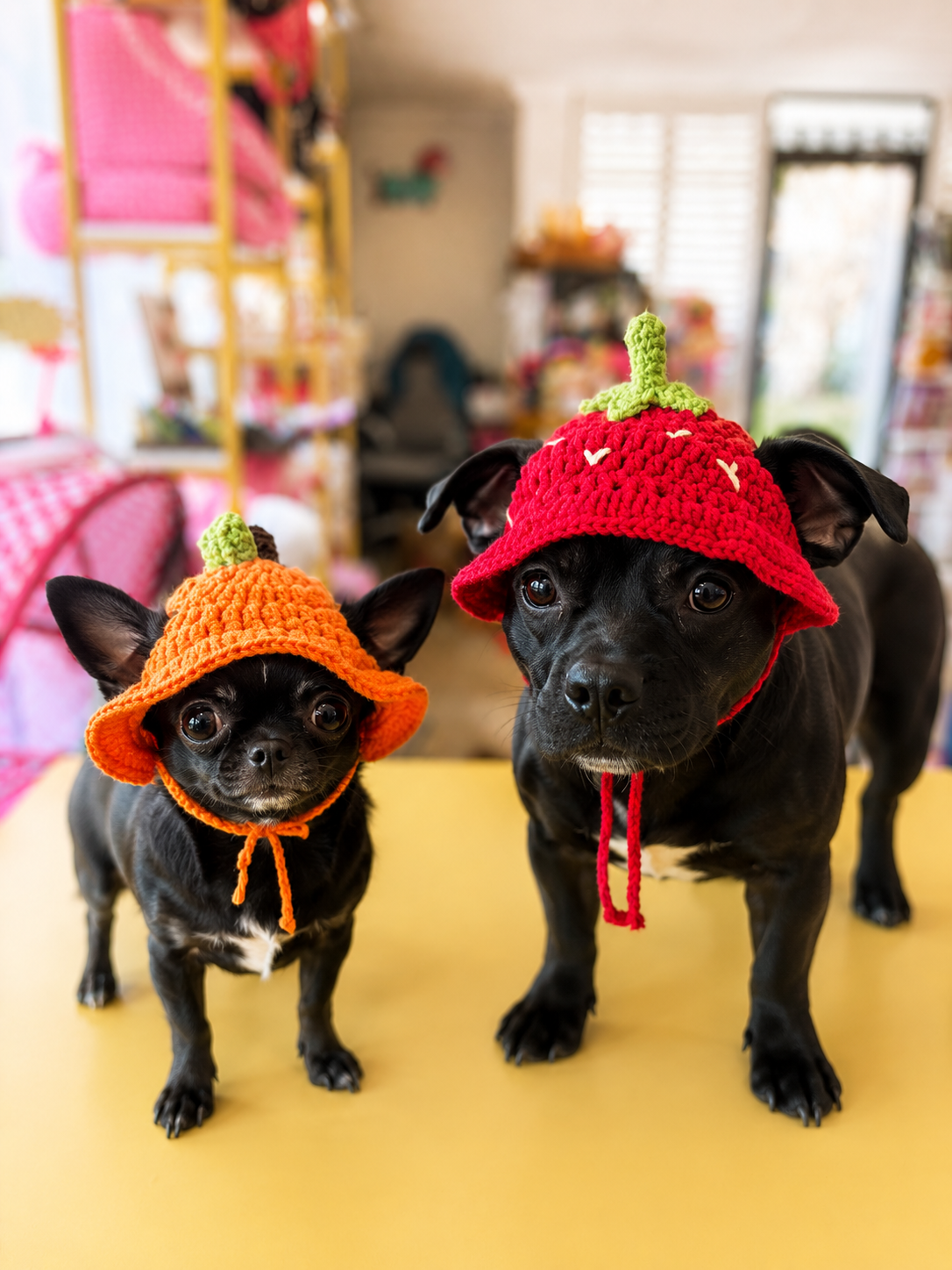 Handmade Crochet Fruit Dog Hat Set – Strawberry & Pumpkin Pet Bonnet Costume for Small Dogs and Cats