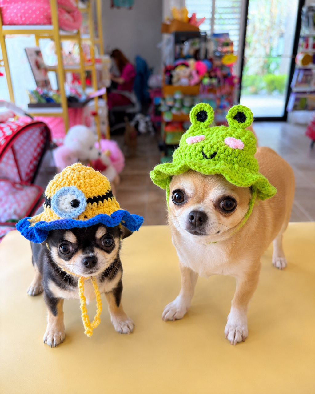 Handmade Crochet Frog & Cartoon-Inspired Dog Hat – Cute Knit Pet Bonnet for Small Dogs & Cats