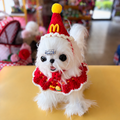Handmade Crochet Fast Food Pet Hat & Collar Set