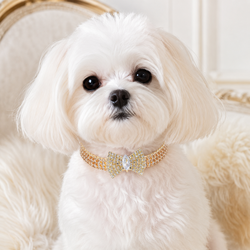 Gold Crystal Bow Pet Necklace – Glamorous & Chic