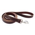 Circle T Latigo Leather Dog Leash 1" x 6'