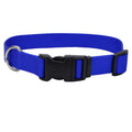 Blue Dog Collar - Adjustable Nylon Collar