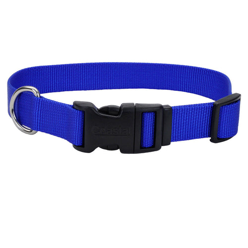 Blue Dog Collar - Adjustable Nylon Collar