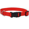 Red Dog Collar - Adjustable Nylon Collar