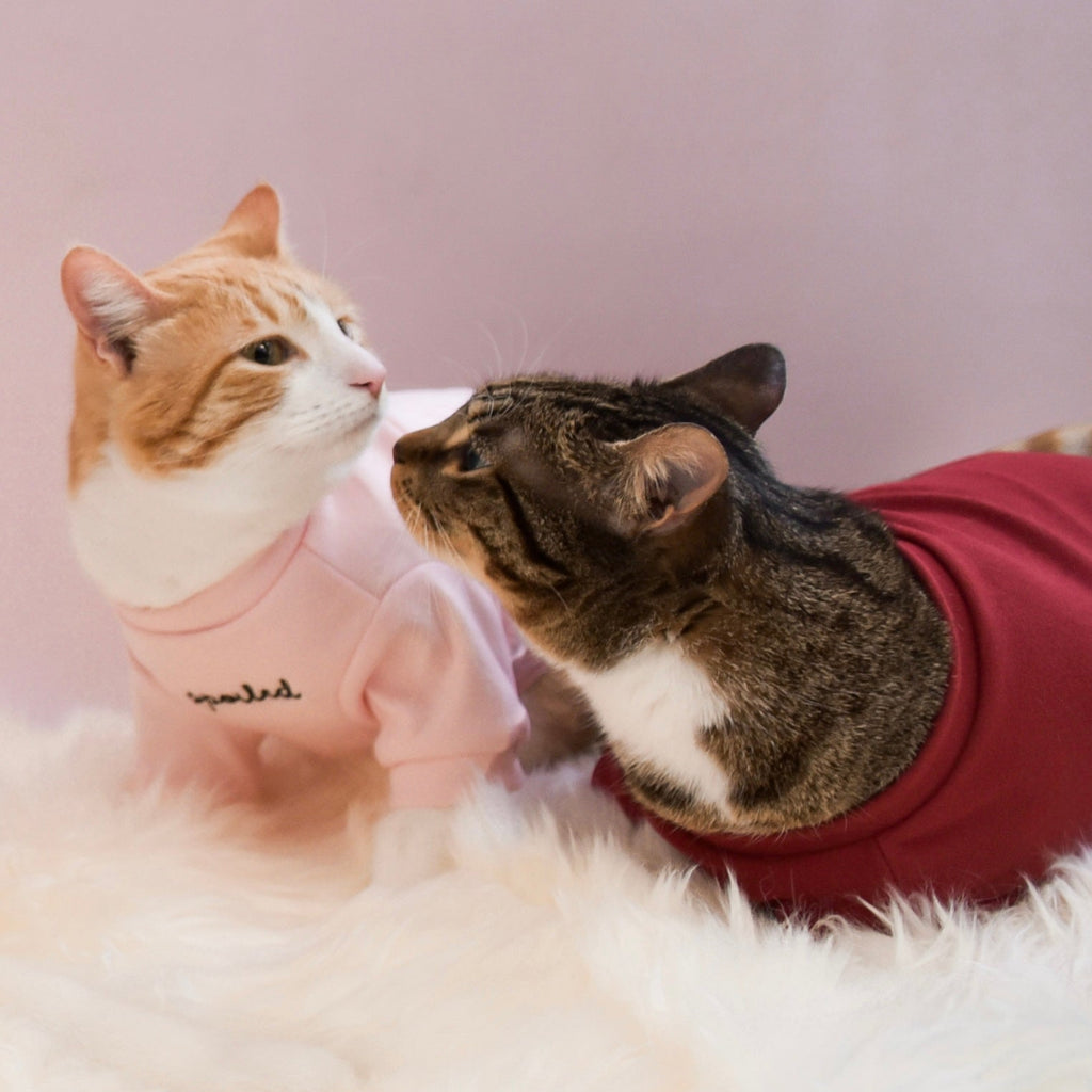 Fur Elise Spoiled Mock Neck Shirt — Lucky in Love