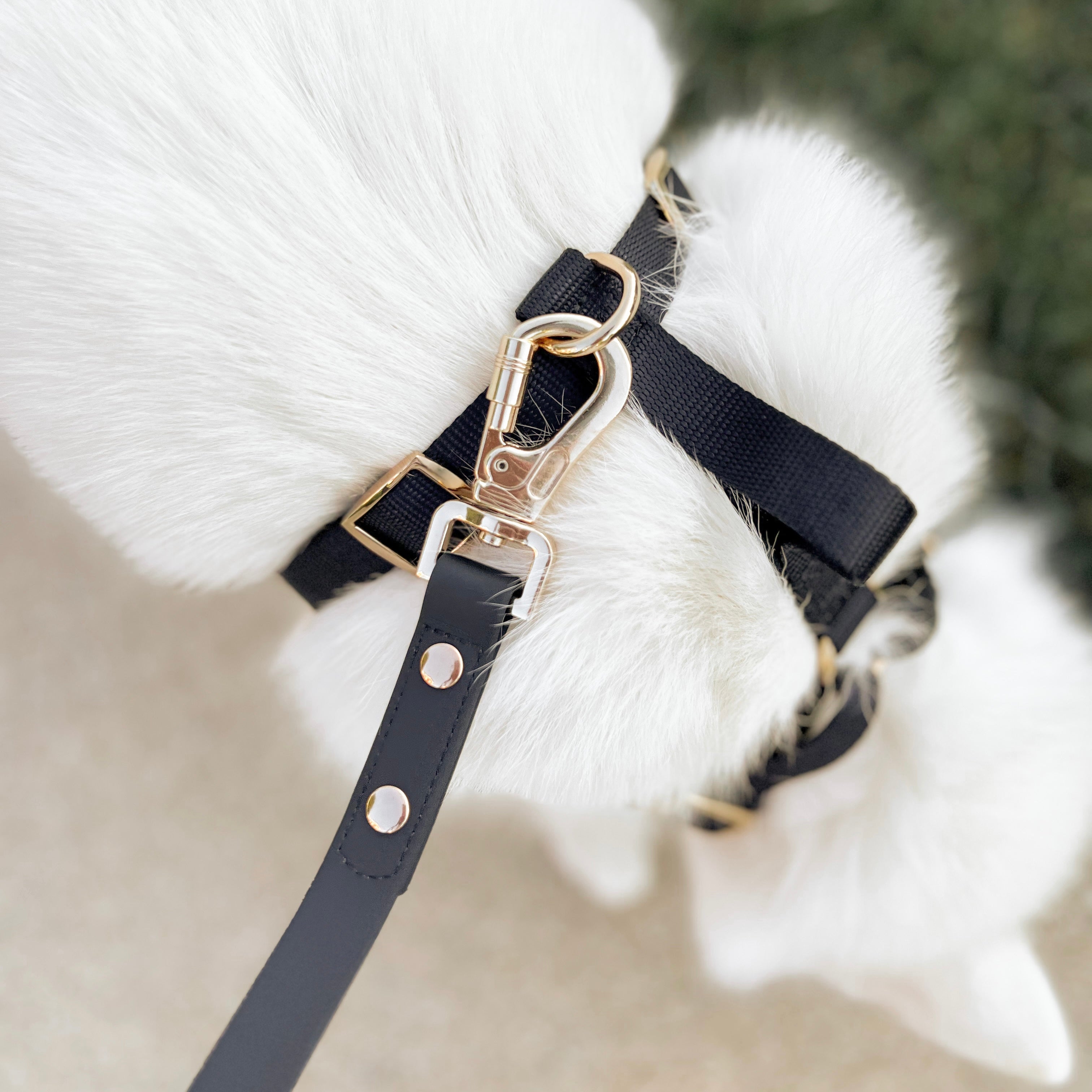 Fur Elise The Essentials Walk Set - Noir