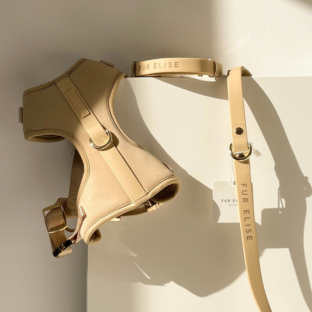 Fur Elise Harness & Leash Set - Sand