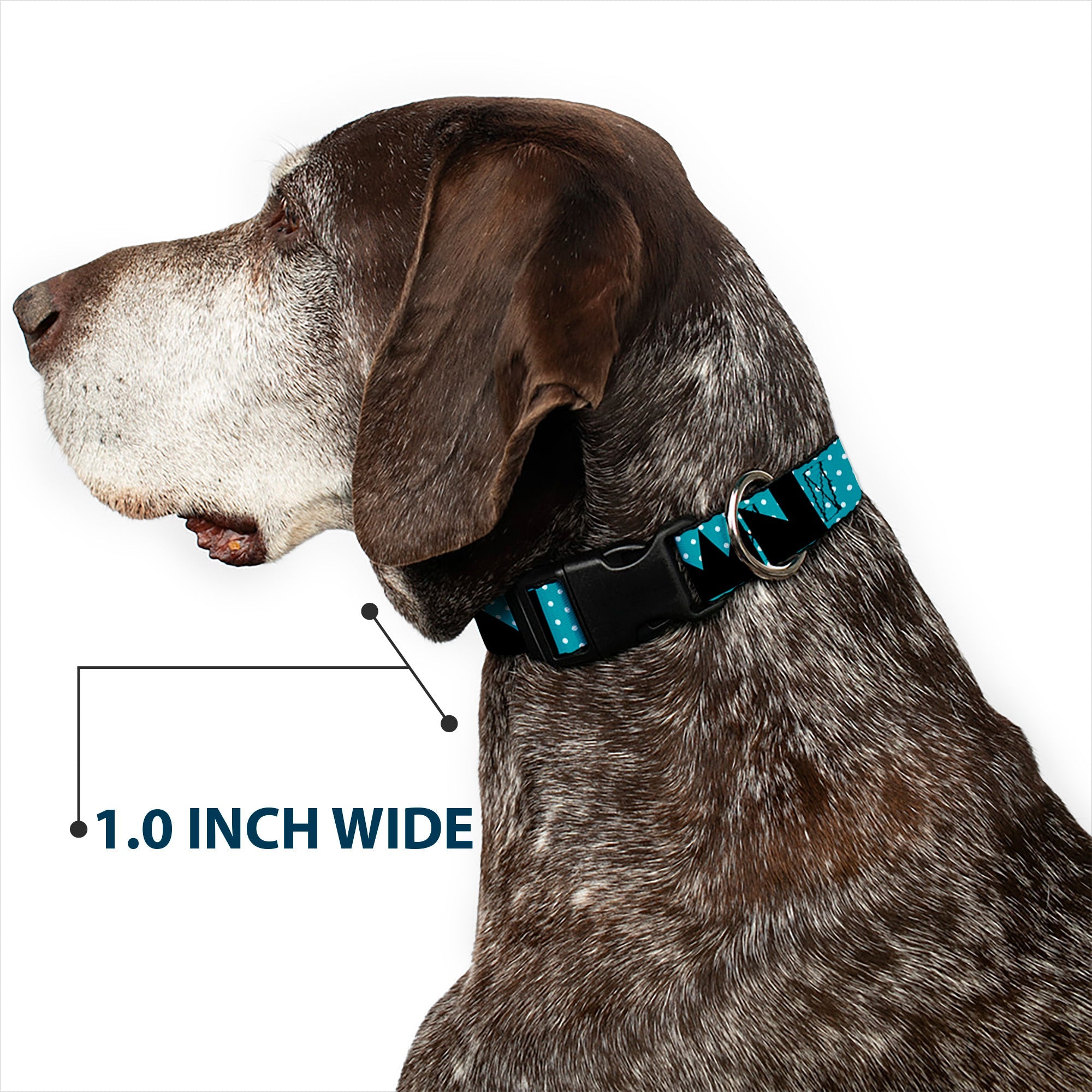 Plastic Clip Collar - BUCKLE-DOWN Shapes Dot Turquoise/White/Black