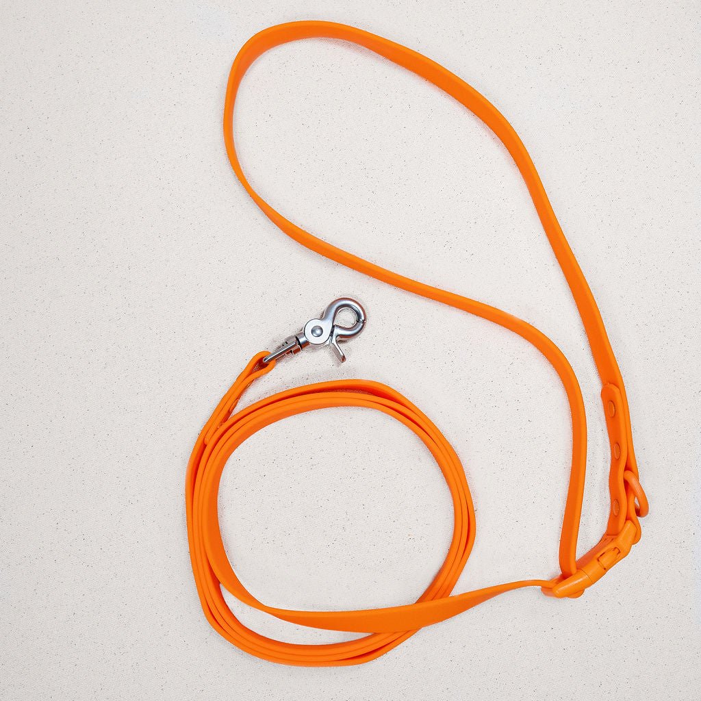 Tilley + Me PVC Handsfree Dog Leash - All Weather Waterproof Durable & Odor-Resistant California Poppy