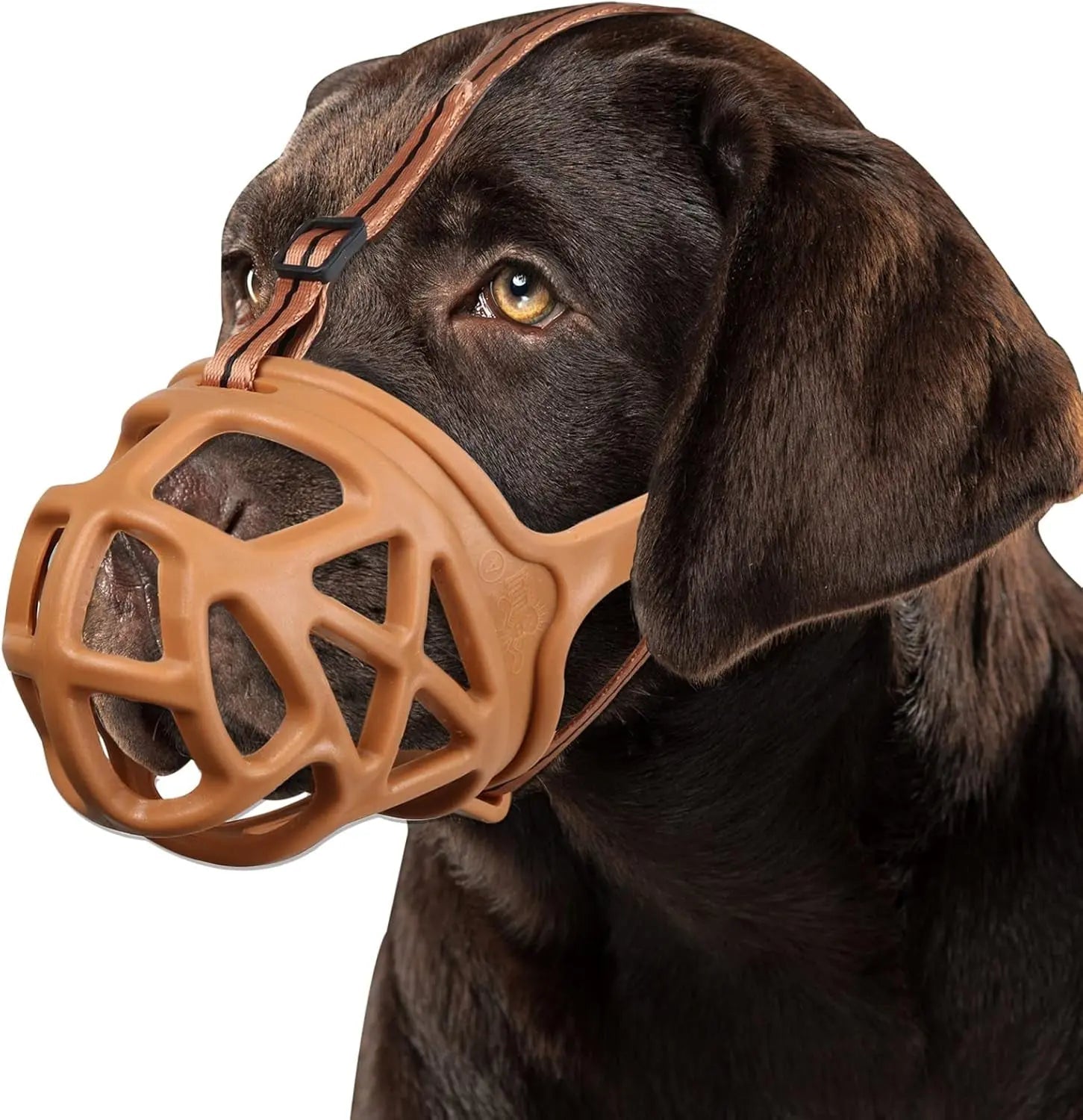 Dog Basket Muzzle Adjustable Humane Anti-Bite Training Muzzle for Dogs Brown