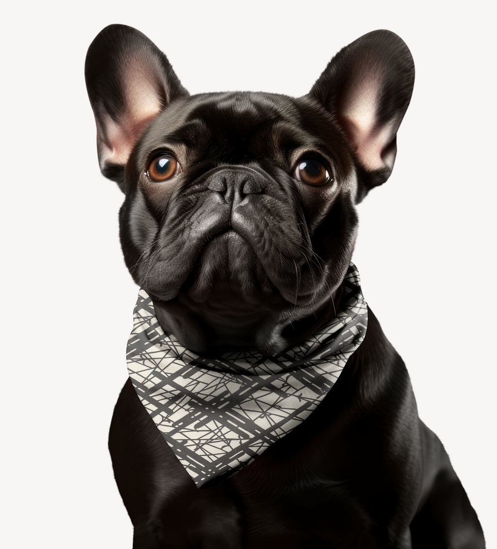 Sebastian & Clementine Abstract Lines Bandana Collar for Dogs and Cats