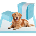 Dog and Puppy Pee Pads 36" x 36" (100 Counts) for Potty Training-Blue Default Title